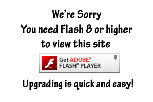 Get The Latest Version of Adobe Flash Player